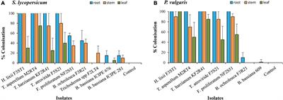 Endophytic Colonisation of Solanum lycopersicum and Phaseolus vulgaris by Fungal Endophytes Promotes Seedlings Growth and Hampers the Reproductive Traits, Development, and Survival of the Greenhouse Whitefly, Trialeurodes vaporariorum